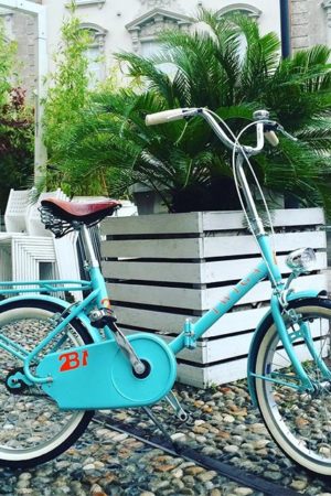bici-belle-twiga-edition